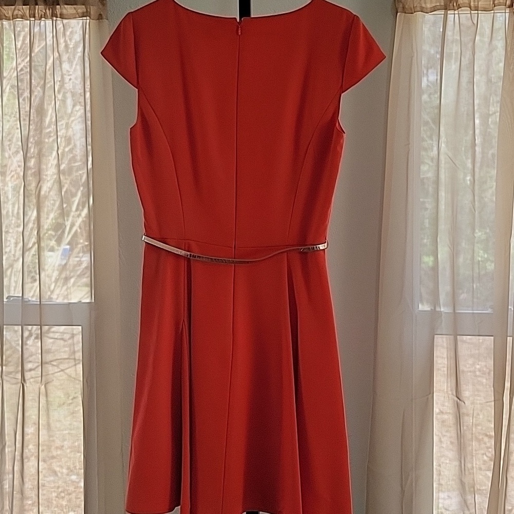 Gianni Bini Orange Fit & Flare Dress Gold Belt Cap Sleeve Size 6 - Picture 10 of 16